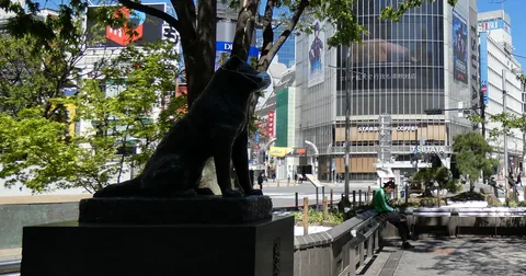 渋谷区ハチペイは年いくら得か｜8%還元の上限・条件・いつまで